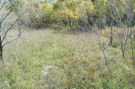Sturgis Drive-In Theatre - Driveway